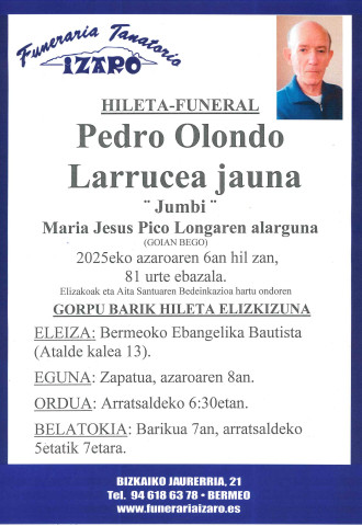 Pedro Olondo Larrucea